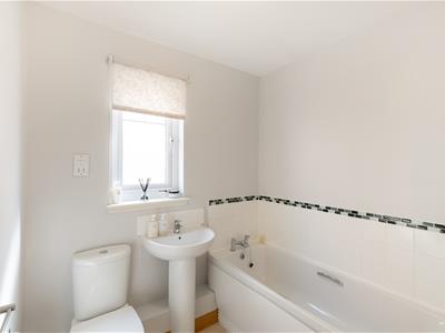 Picture 23